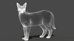 Realistic Caracal 3D Model Wireframe View Subdivision 1 Thumbnail