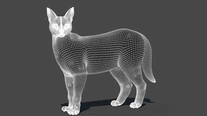 Caracal 3D Model Rigged