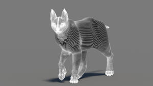 3D wireframe model of a caracal cat on a gray background Thumbnail