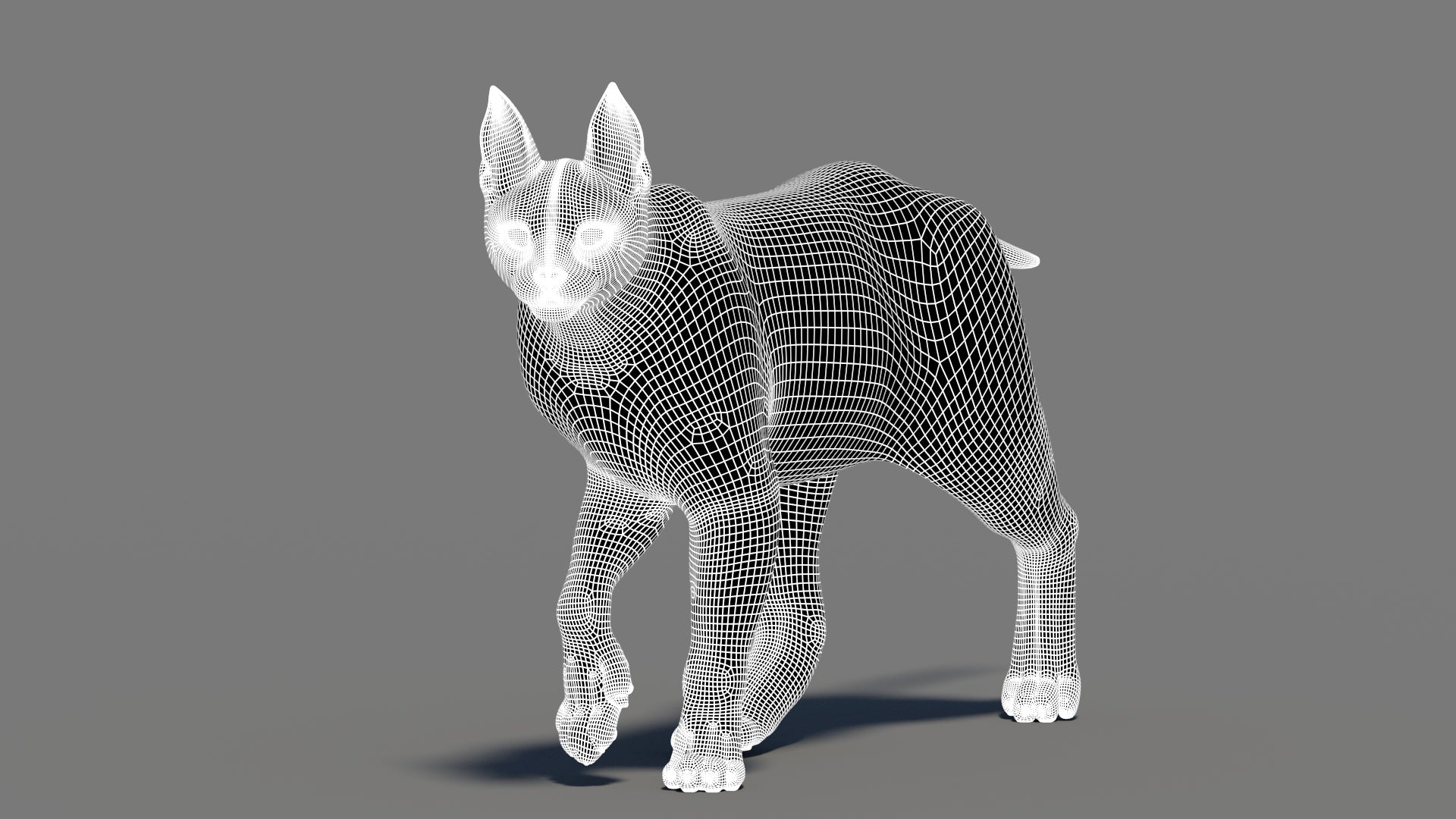 3D wireframe model of a caracal cat on a gray background