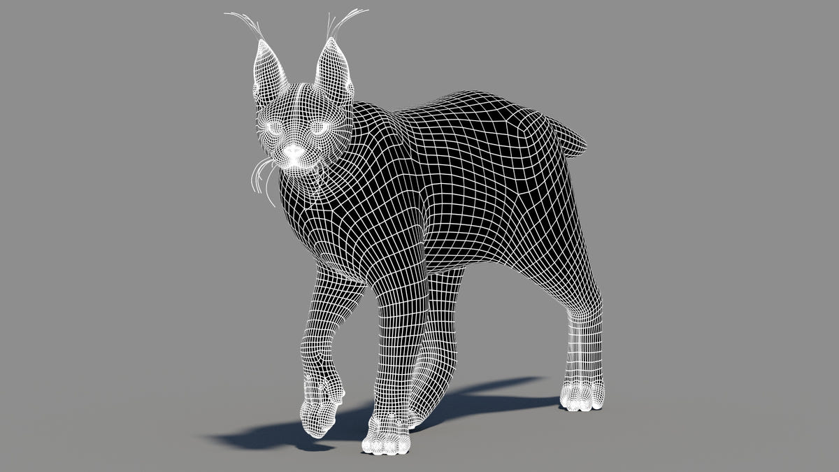 Animated Caracal 3D Model Low Poly Wireframe View Subdivision 1