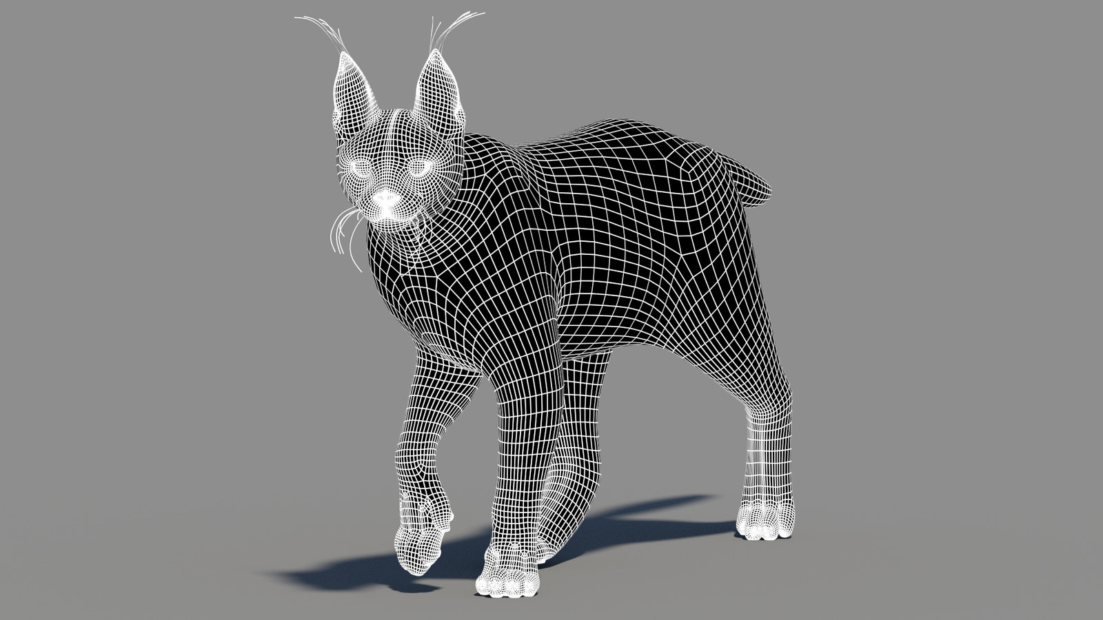 Tufted‑Ear Wildcats 3D Bundle — Caracal & Lynx (Rigged, Animated)