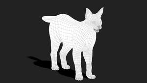 Caracal Cat 3D Model Wireframe View - Subdivision Level 0 Thumbnail