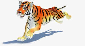 Animated Cartoon Tiger 3D Model Thumbnail