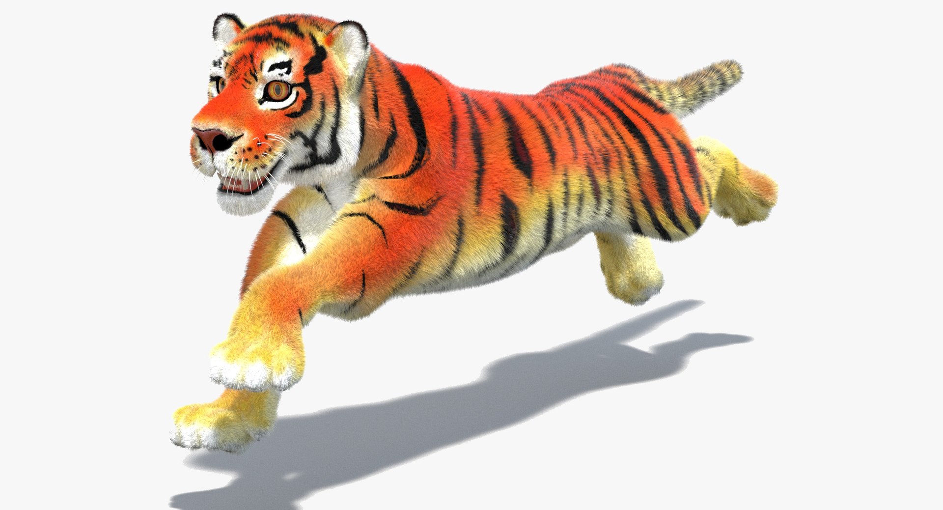 Cartoon Tiger Animated with Fur 3D Model
