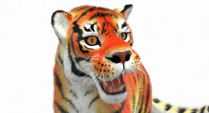 Cartoon Tiger Animated with Fur 3D Model Thumbnail