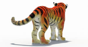 Cartoon Tiger Animated Fur 3D Model Thumbnail