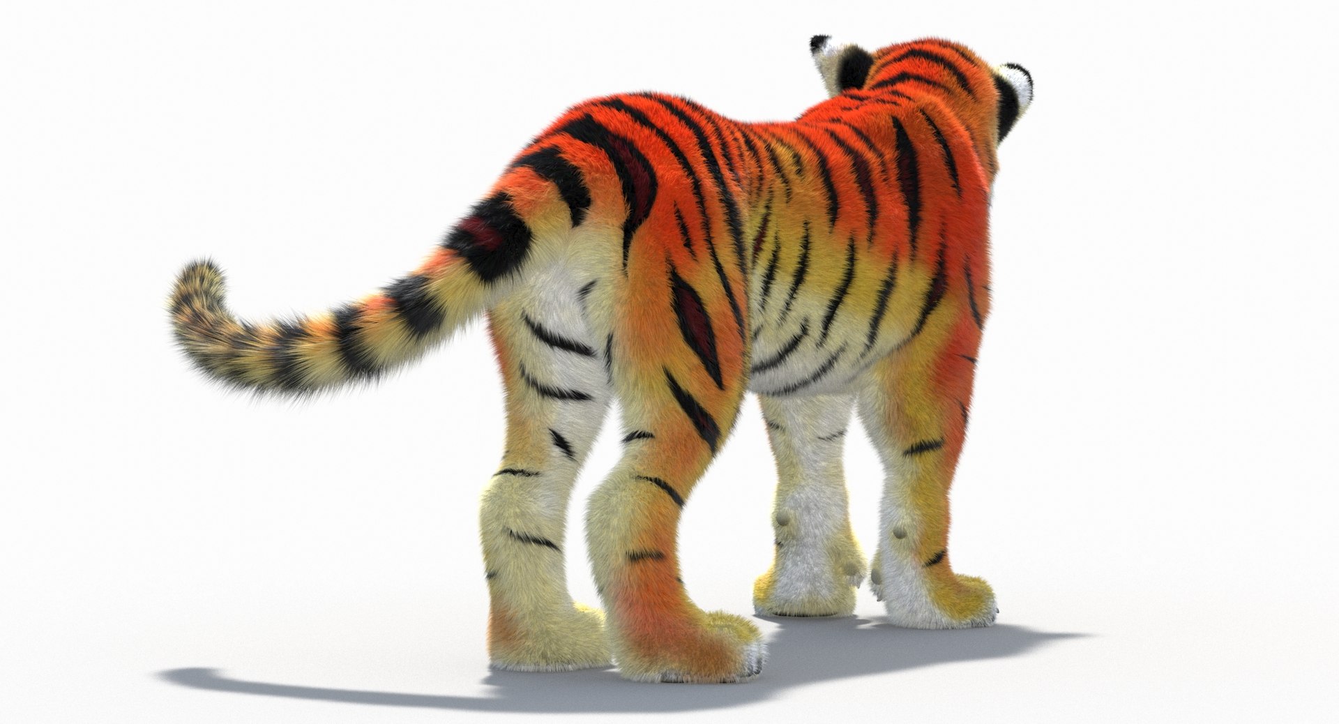 Cartoon Tiger Animated Fur 3D Model