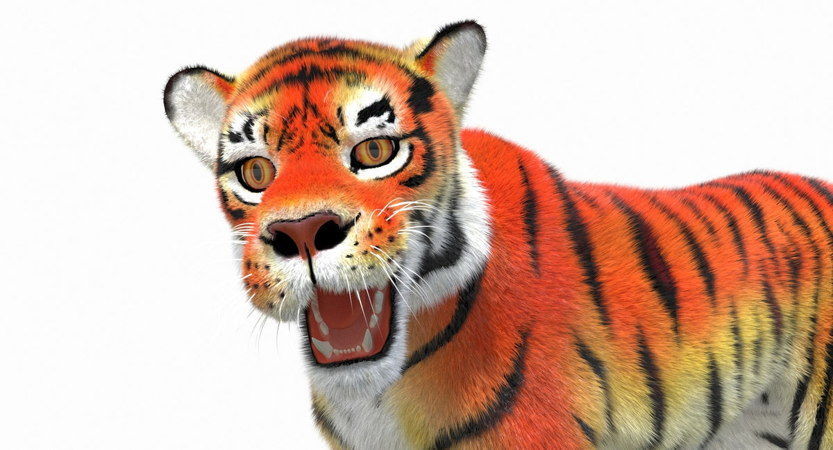Cartoon Tiger Animated Fur 3D Model