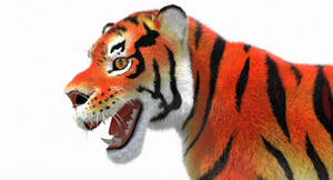 Cartoon Tiger Animated Fur 3D Model Thumbnail