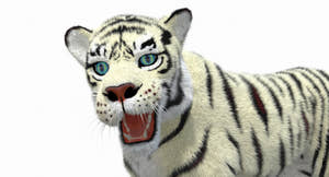White Cartoon Tiger Animated Fur 3D Model Thumbnail