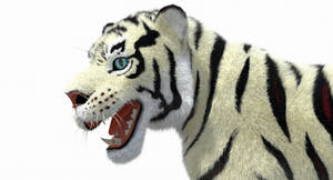 White Cartoon Tiger Animated Fur 3D Model Thumbnail