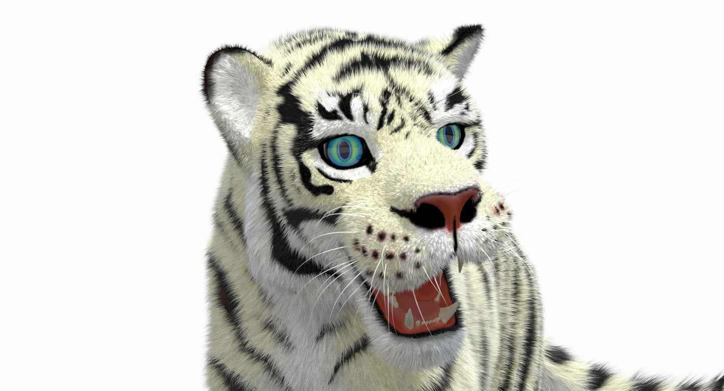 White Cartoon Tiger Animated Fur