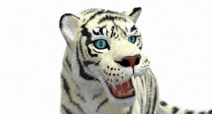White Cartoon Tiger Animated Fur