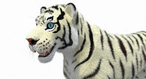 White Cartoon Tiger Animated Fur 3D Model Thumbnail