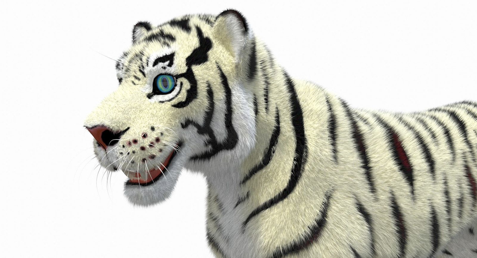 White Cartoon Tiger Animated Fur 3D Model