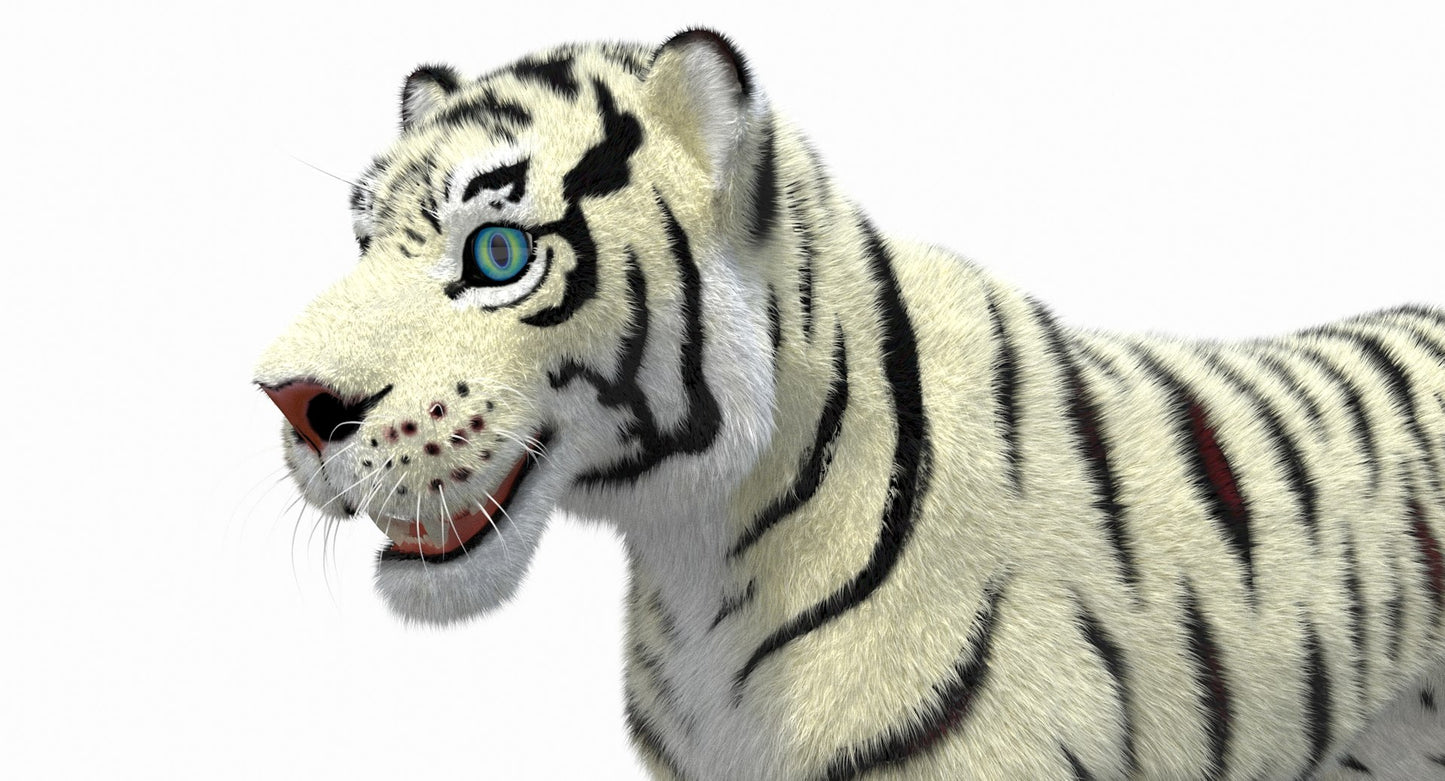White Cartoon Tiger Animated Fur