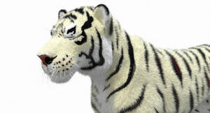 White Cartoon Tiger Animated Fur 3D Model Thumbnail