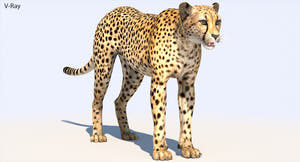Big Cats 05 3D Model Thumbnail