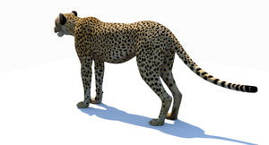 Big Cats 03 3D Model Thumbnail