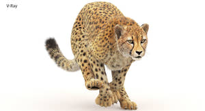Cheetah 3D Model Animated Fur Thumbnail