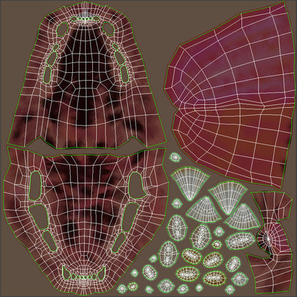 Cheetah 3D Model Animated Fur