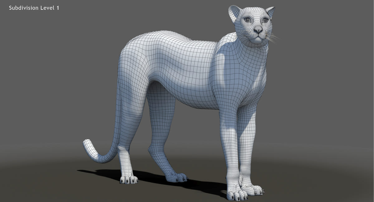 Animated Cheetah 3D Model - Hair and Fur