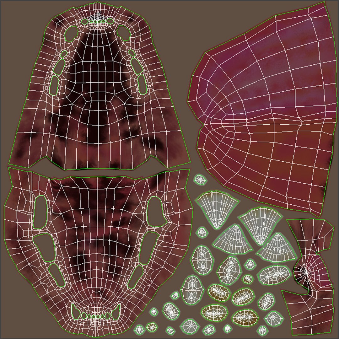 Cheetah 3D Model Mouth UVs