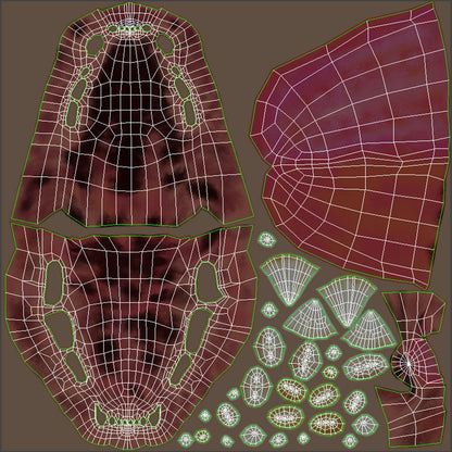 Cheetah 3D Model Fur