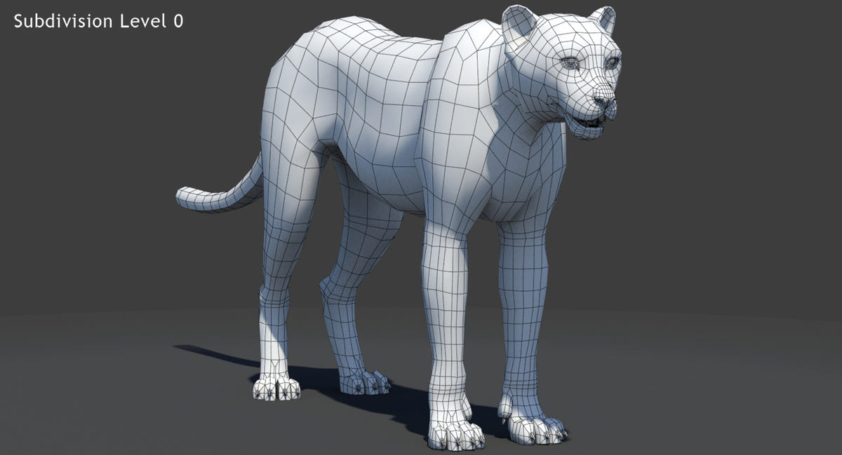 Big Cats 03 3D Model