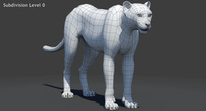 Big Cats 03 3D Model Thumbnail