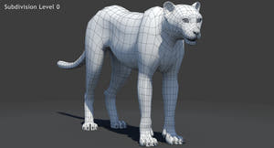 Big Cats 05 3D Model Thumbnail