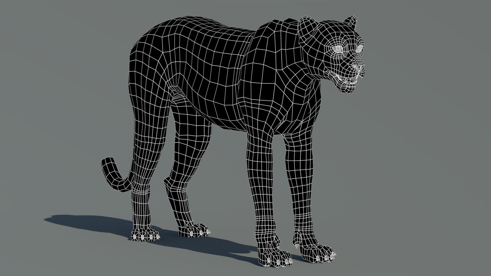 Cheetah 3D Model Wireframe View – Subdivision Level 0