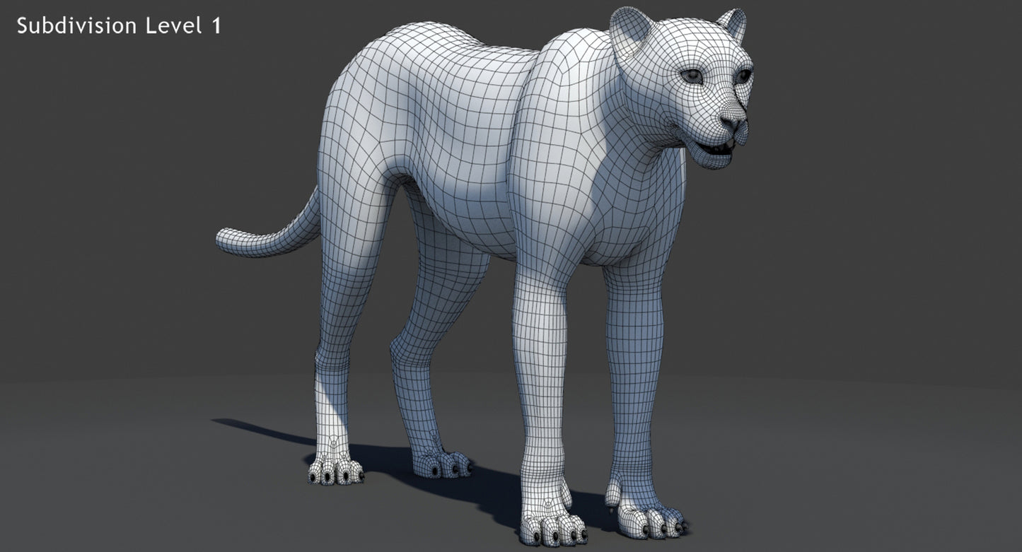 Big Cats 05 3D Model