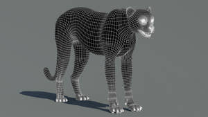 Cheetah 3D Model Wireframe View – Subdivision Level 1 Thumbnail