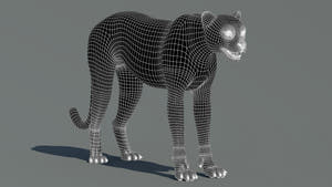Cheetah 3D Model Wireframe View – Subdivision Level 1 Thumbnail