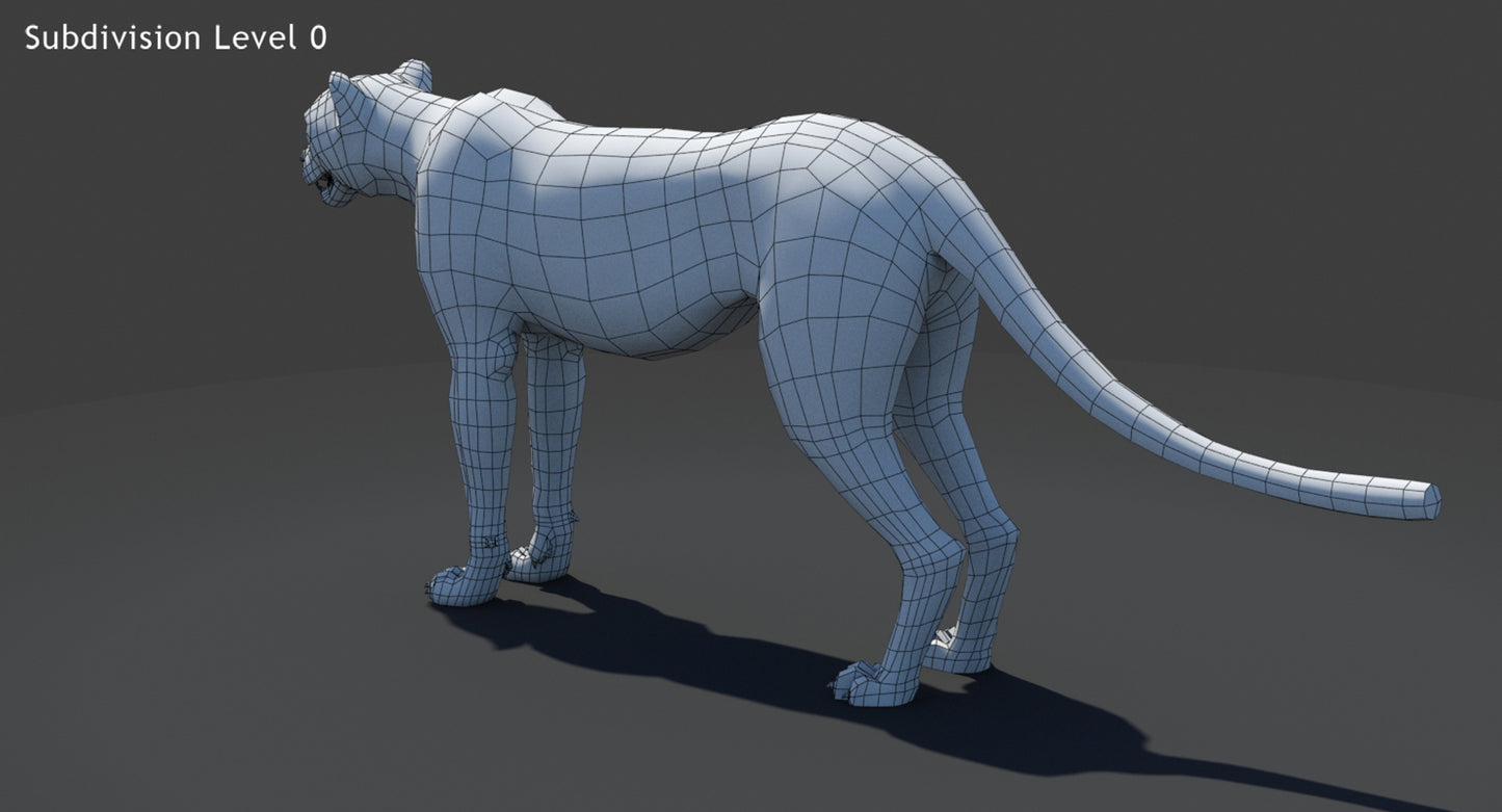 Big Cats 03 3D Model