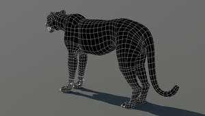 Cheetah 3D Model Wireframe View from Back side – Subdivision 0 Thumbnail