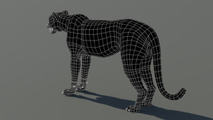 Cheetah 3D Model Wireframe View from Back side – Subdivision 0 Thumbnail