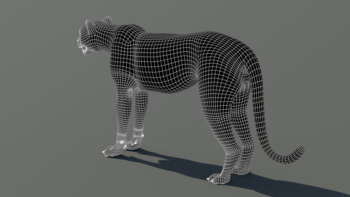 Cheetah 3D Model Wireframe View from Back side – Subdivision 1