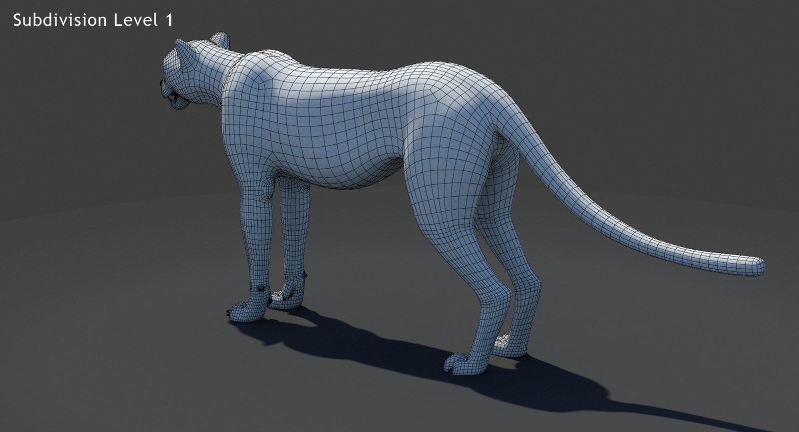 Big Cats 05 3D Model