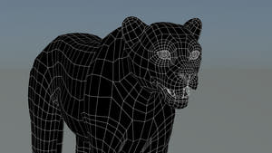 Cheetah 3D Model – Head Close-Up Wireframe – Subdivision 0 Thumbnail