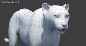 Big Cats 05 3D Model Thumbnail