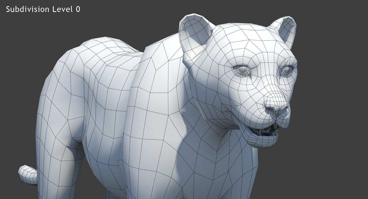 Big Cats 05 3D Model