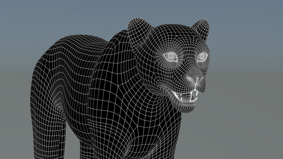Cheetah 3D Model – Head Close-Up Wireframe – Subdivision 1