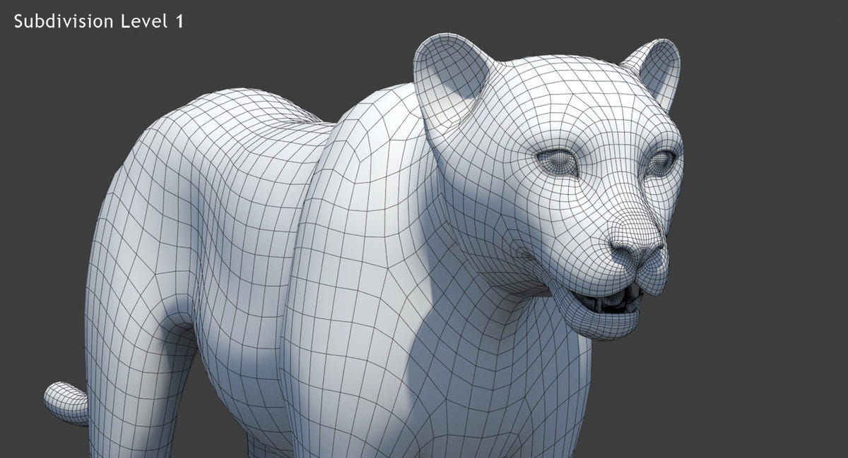 Big Cats 05 3D Model