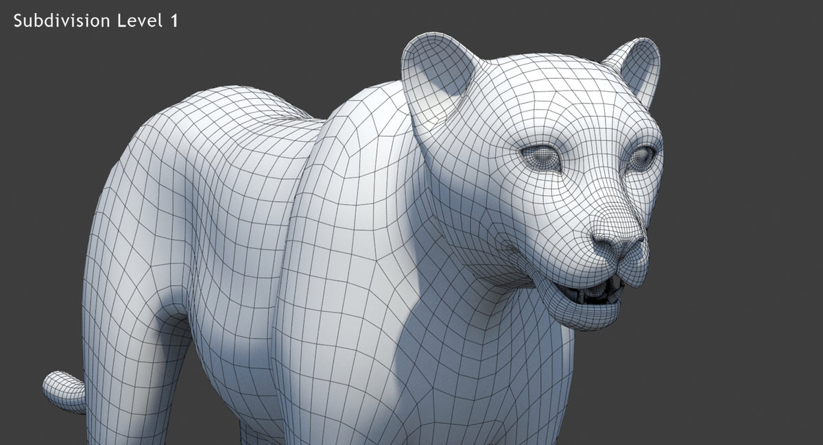 Big Cats 05 3D Model