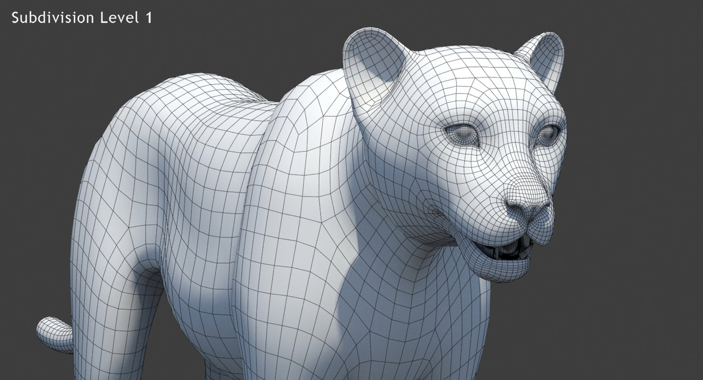Big Cats 05 3D Model