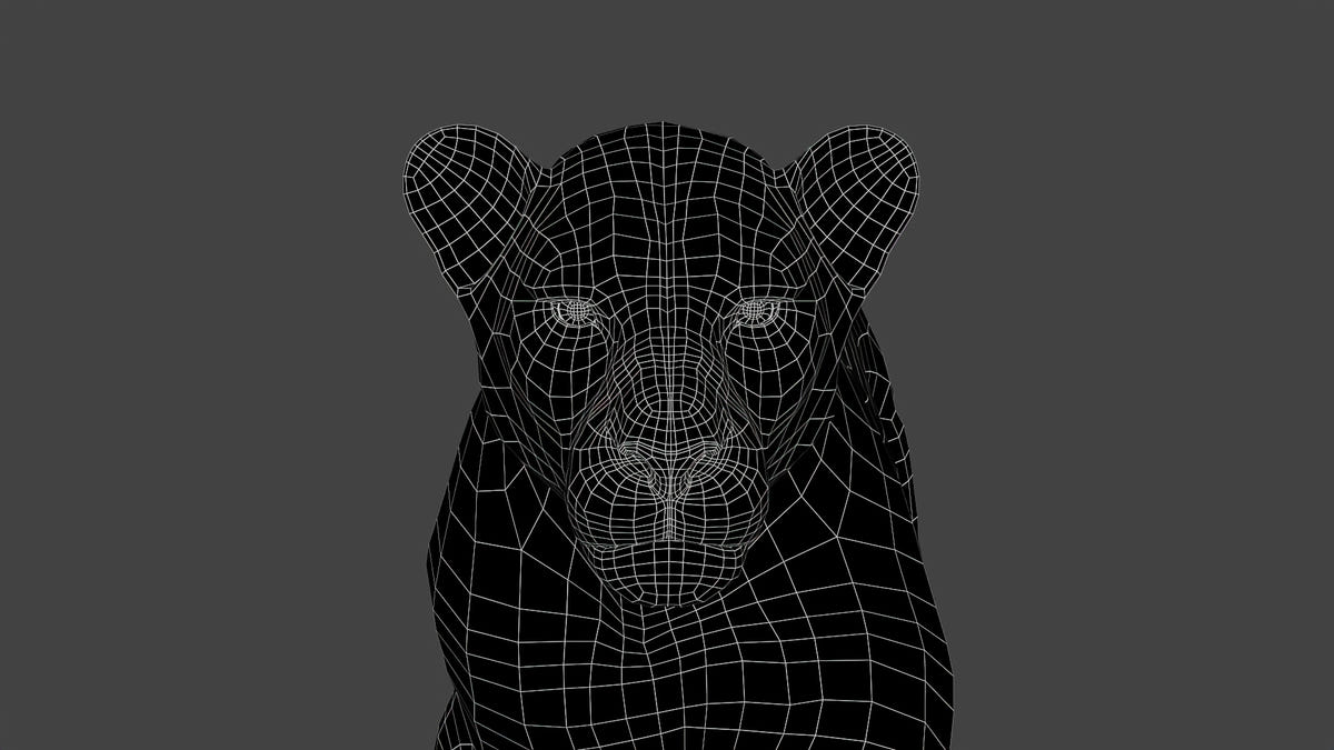 Close-Up Wireframe View of Realistic 3D Lion Model – Topology Detail