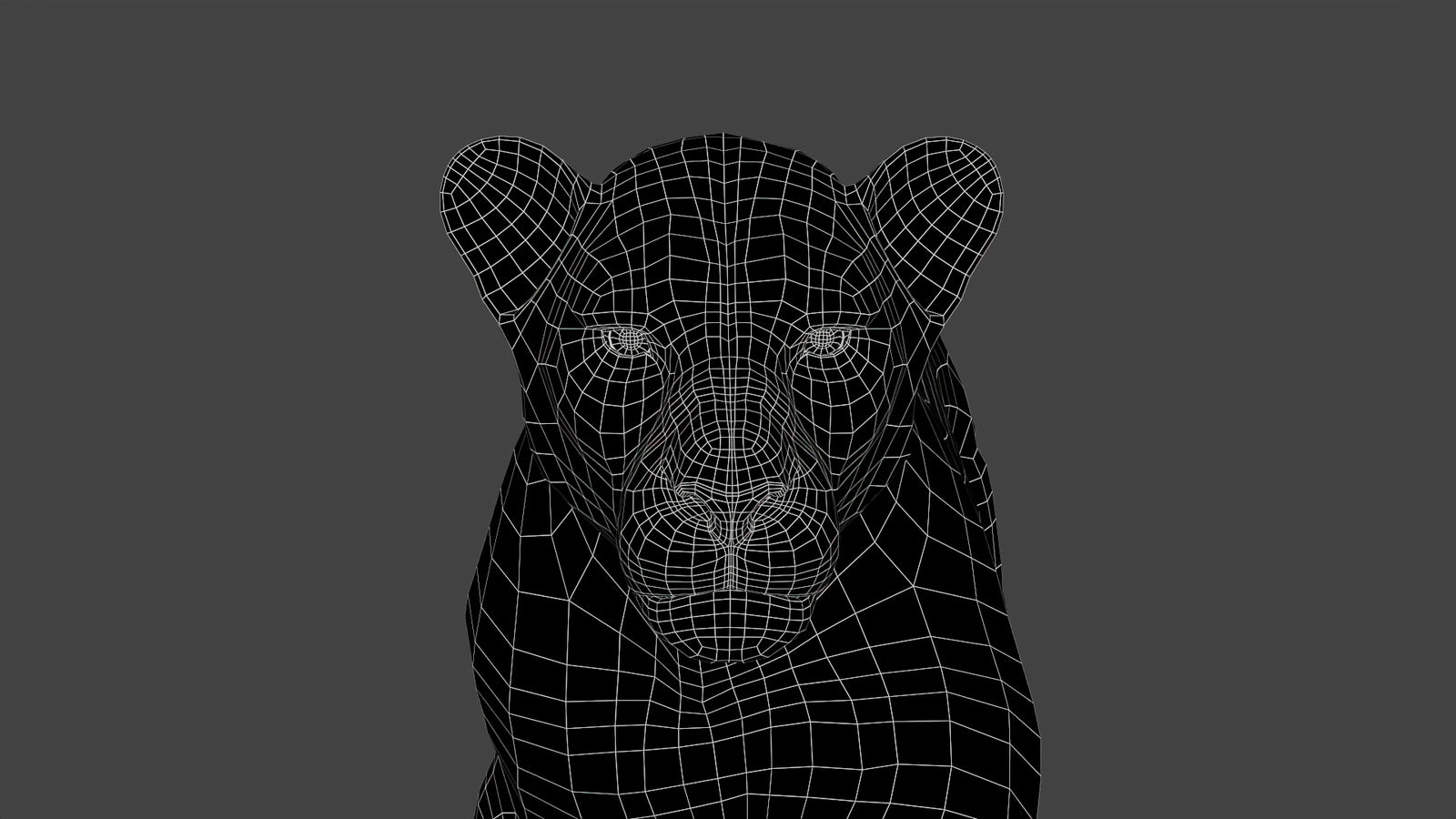 Close-Up Wireframe View of Realistic 3D Lion Model – Topology Detail